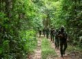 Thailand Conducts Airstrikes on Cambodia Amid Renewed Border Clashes