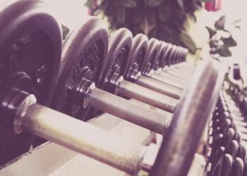 how muscles and bones work together