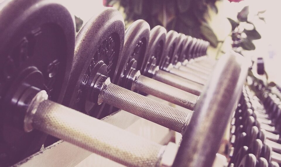 how muscles and bones work together