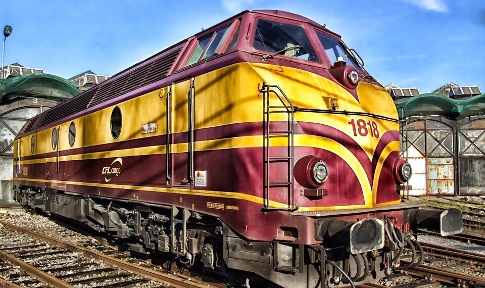 how the cardiovascular system functions