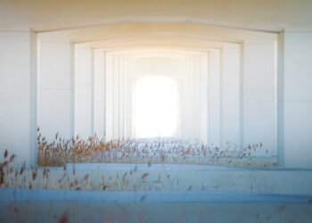 importance of screenplay structure in filmmaking