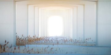 importance of screenplay structure in filmmaking