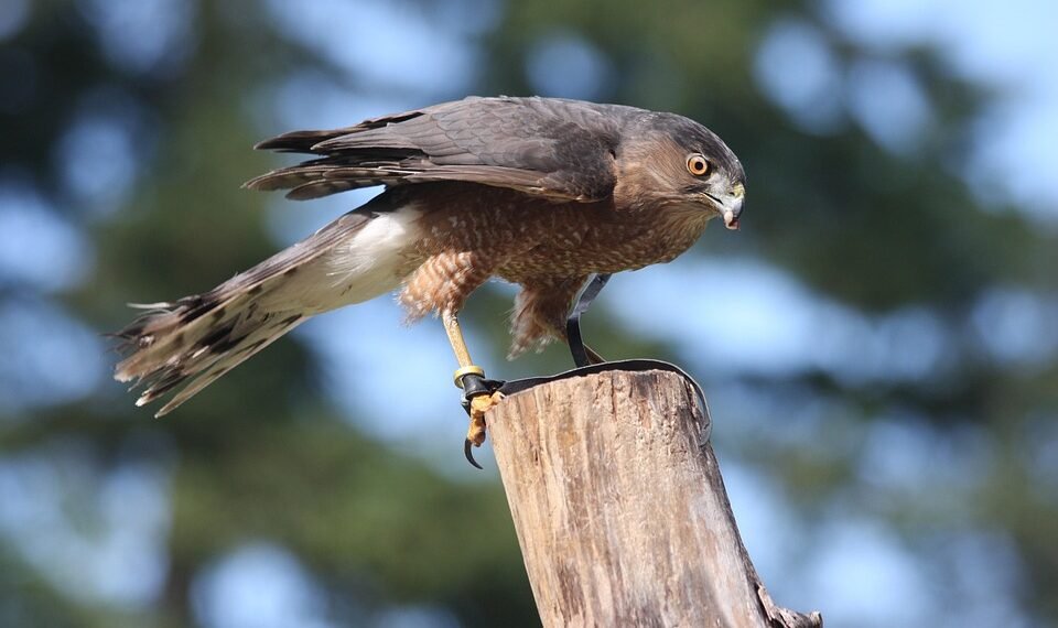 how email works technically