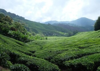 history of james cameron’s blockbuster filmmaking