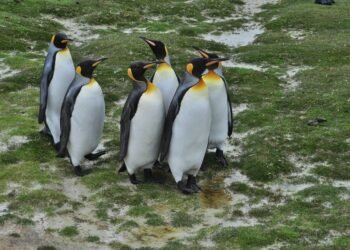 stanley kubrick directing style explained