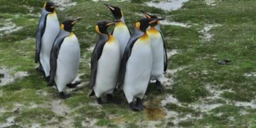 stanley kubrick directing style explained