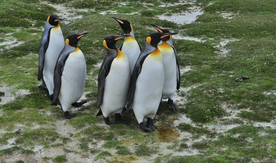 stanley kubrick directing style explained