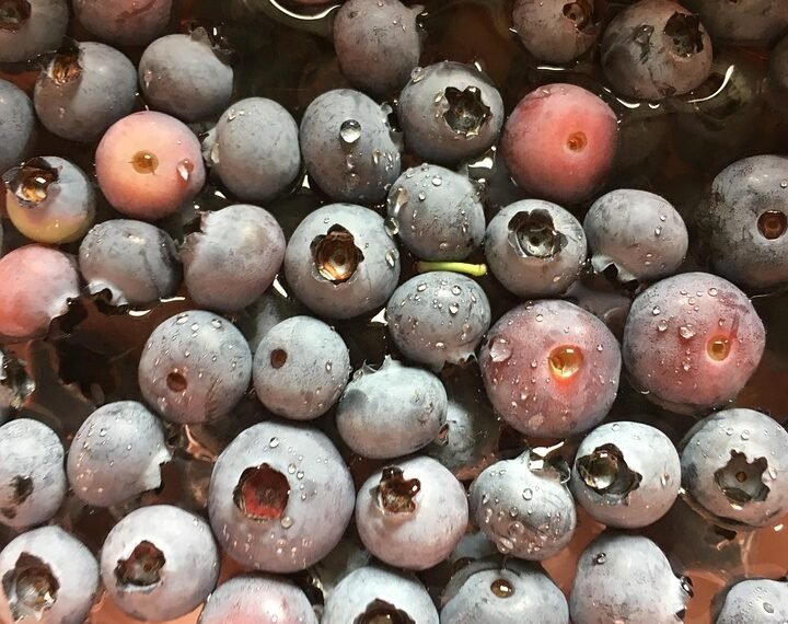 role of the liver in detoxification