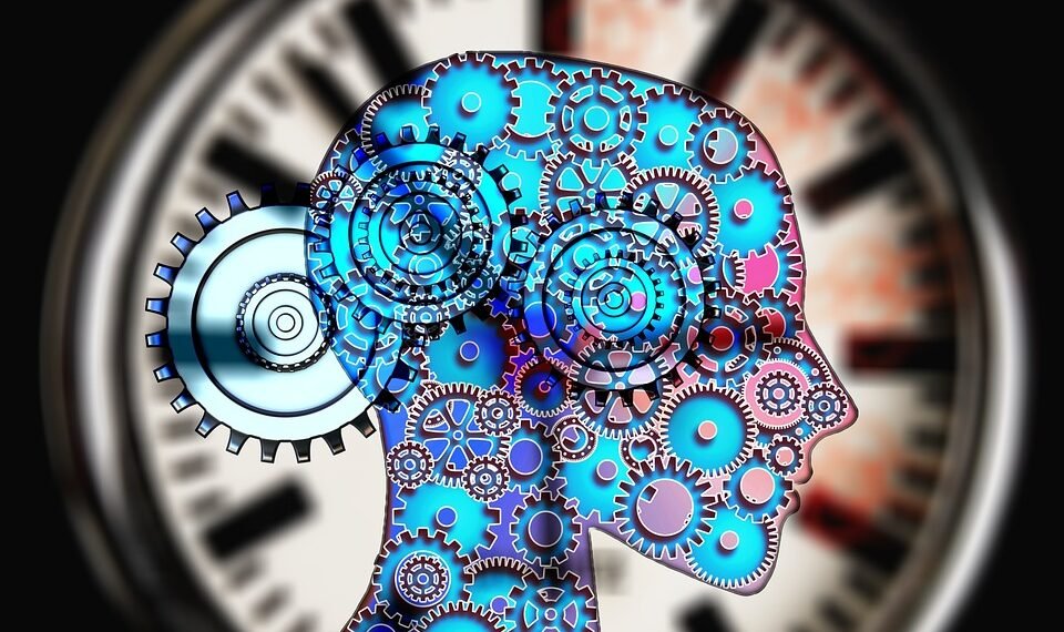 how muscles and bones work together