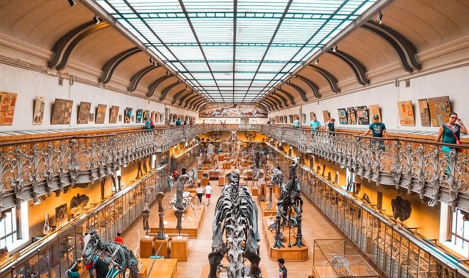 evolution of movie marketing and trailers