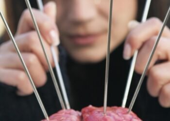 how the human brain processes information