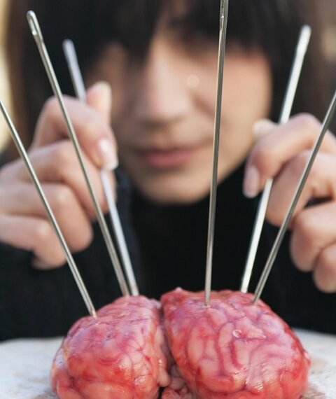 how the human brain processes information