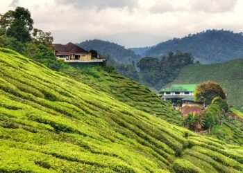 history of james cameron’s blockbuster filmmaking