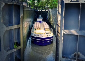 how hormones regulate body functions