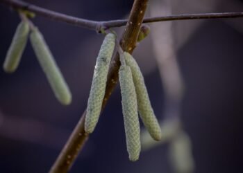 basics of human kidney function