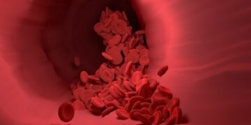 effects of smoking on human health
