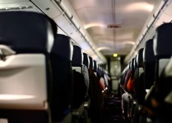 how the cardiovascular system functions