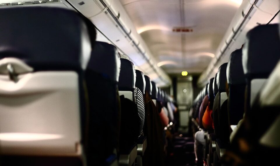 how the cardiovascular system functions