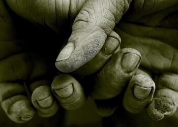 how the human respiratory system works