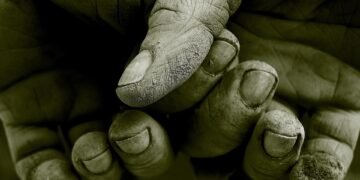 how the human respiratory system works