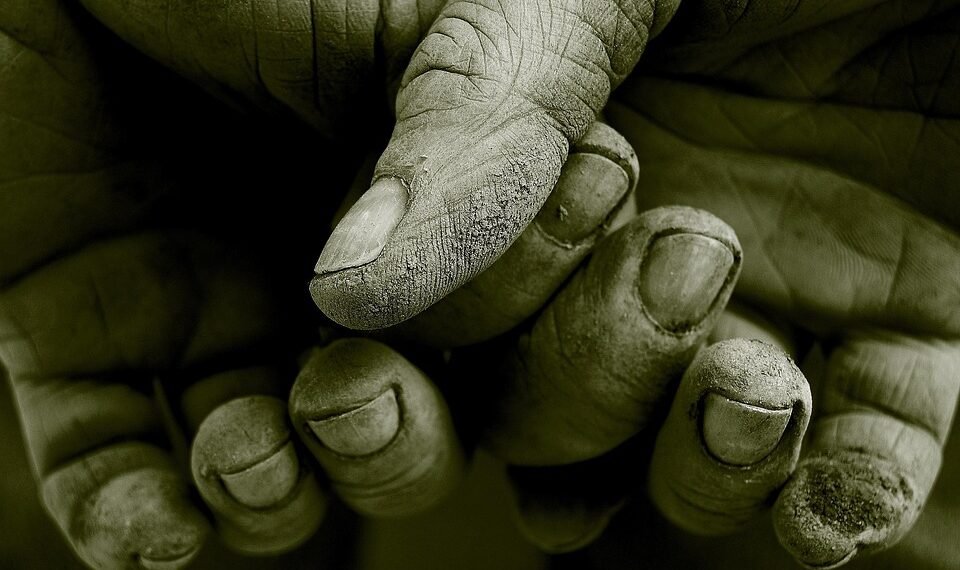 how the human respiratory system works