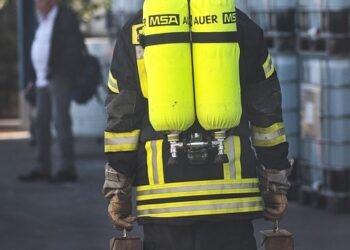 how the human respiratory system works