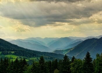 importance of free speech in democratic societies