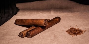 effects of smoking on human health