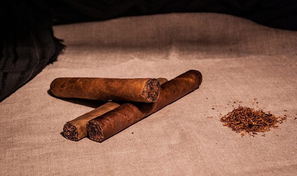 effects of smoking on human health