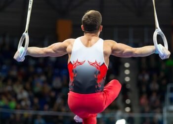 how muscles and bones work together