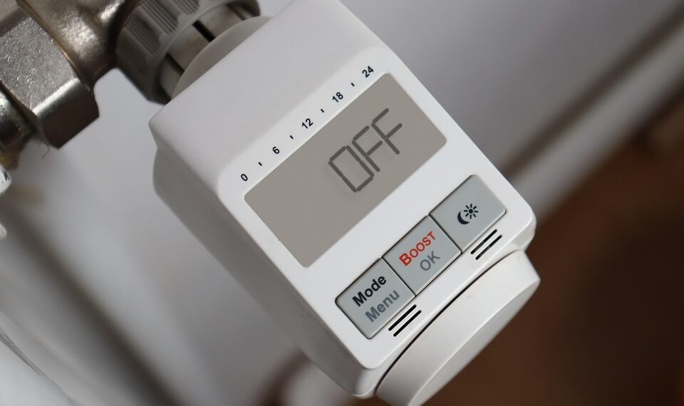 how hormones regulate body functions