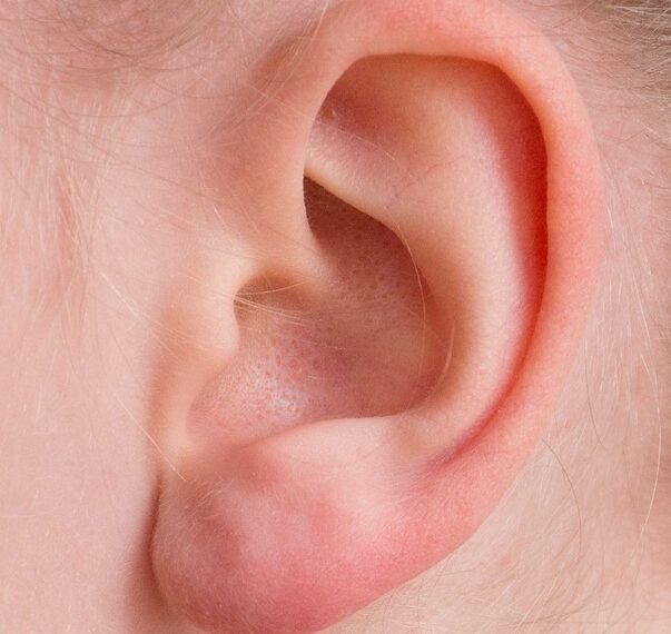 how documentaries influence public perception