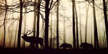how silent films shaped modern storytelling