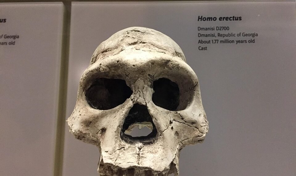 history of indian cinema evolution