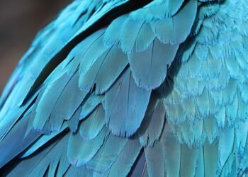 how comedy films changed from silent era to present