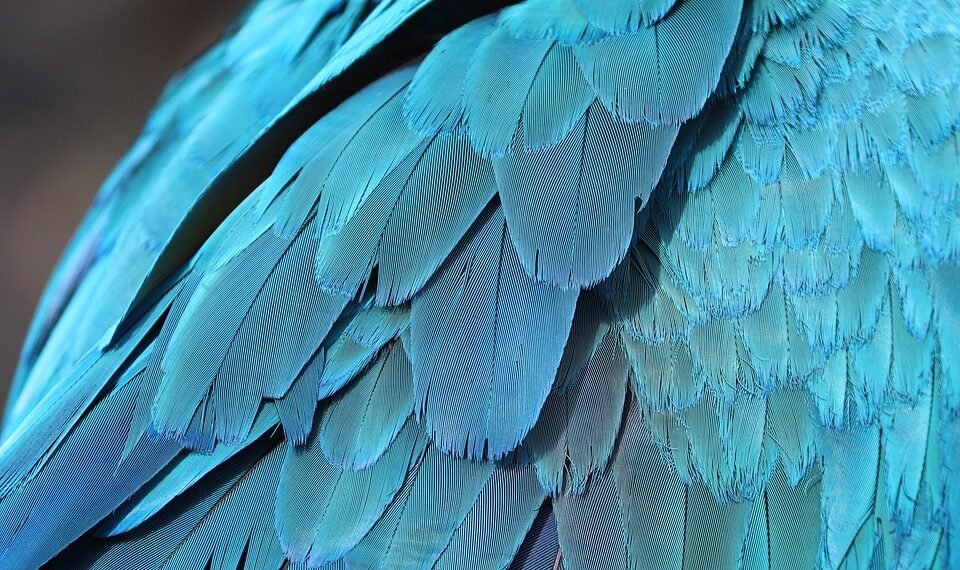 how comedy films changed from silent era to present