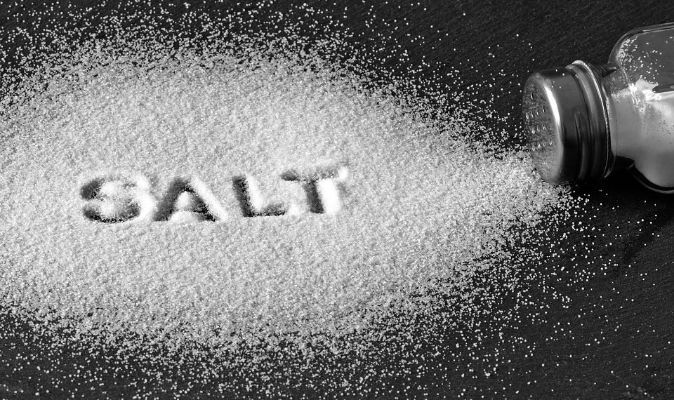 basics of human kidney function