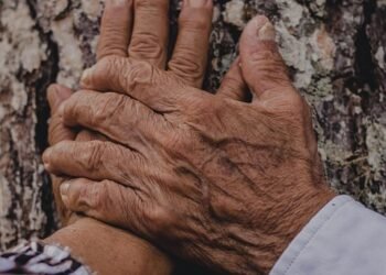 history of international co-productions in film