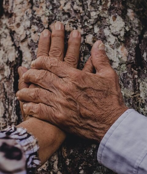 history of international co-productions in film