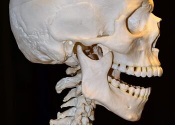 how the human brain processes information