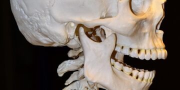 how the human brain processes information