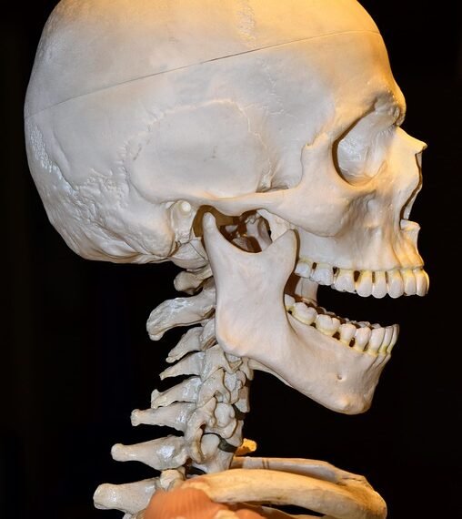 how the human brain processes information