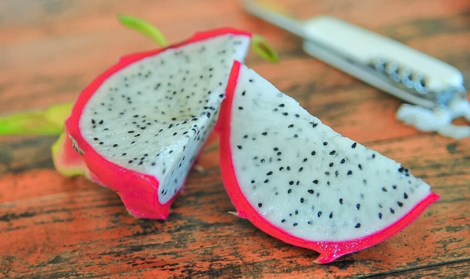 healthy eating habits and nutrition basics