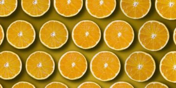 common vitamins and their roles in the body