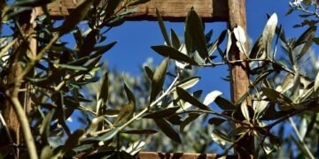 rise and influence of superhero cinema