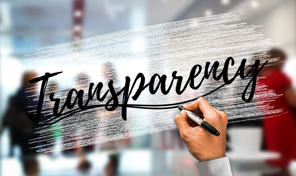 how the cardiovascular system functions