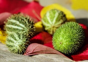 introduction to human digestive system