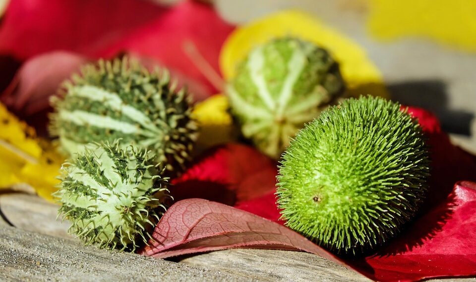 introduction to human digestive system