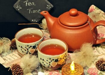 how the immune system protects the body