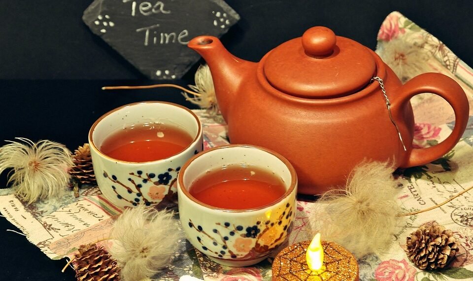 how the immune system protects the body